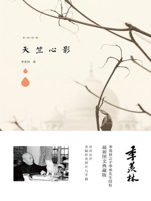 cover image of 天竺心影